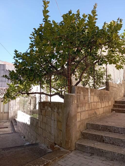 Lumia_guest House In San Paolo Apartment